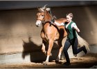 Pferd International 002